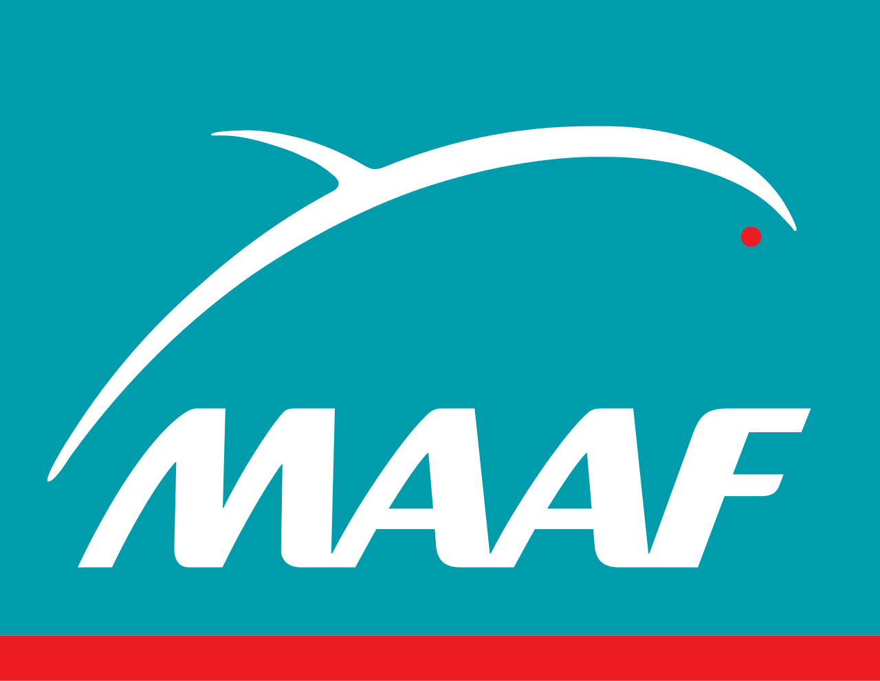 Groupe AMTT | Mandataire automobile et plateformes auto en France